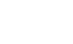 white_logo_transparent_background-300x180